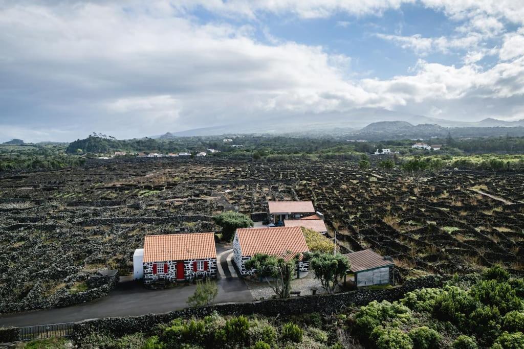 Adega Dos Virgilios Villa Cabo Branco Exteriör bild